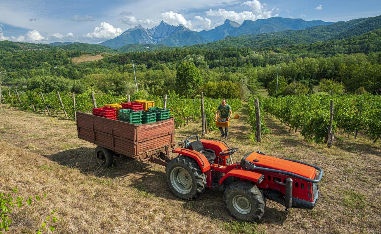Agriturismo Il Bardellino Fivizzano Kültér fotó