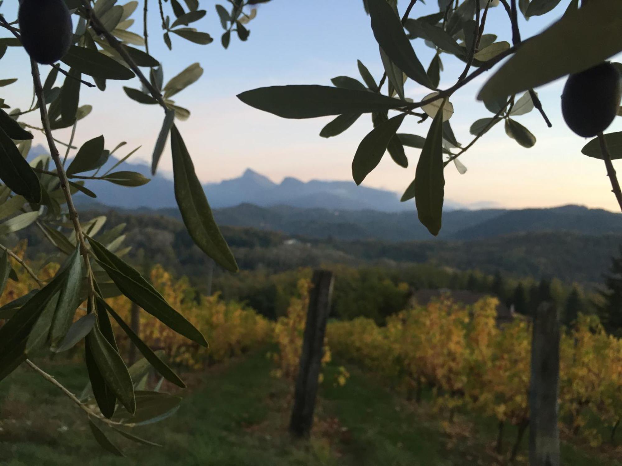 Agriturismo Il Bardellino Fivizzano Kültér fotó