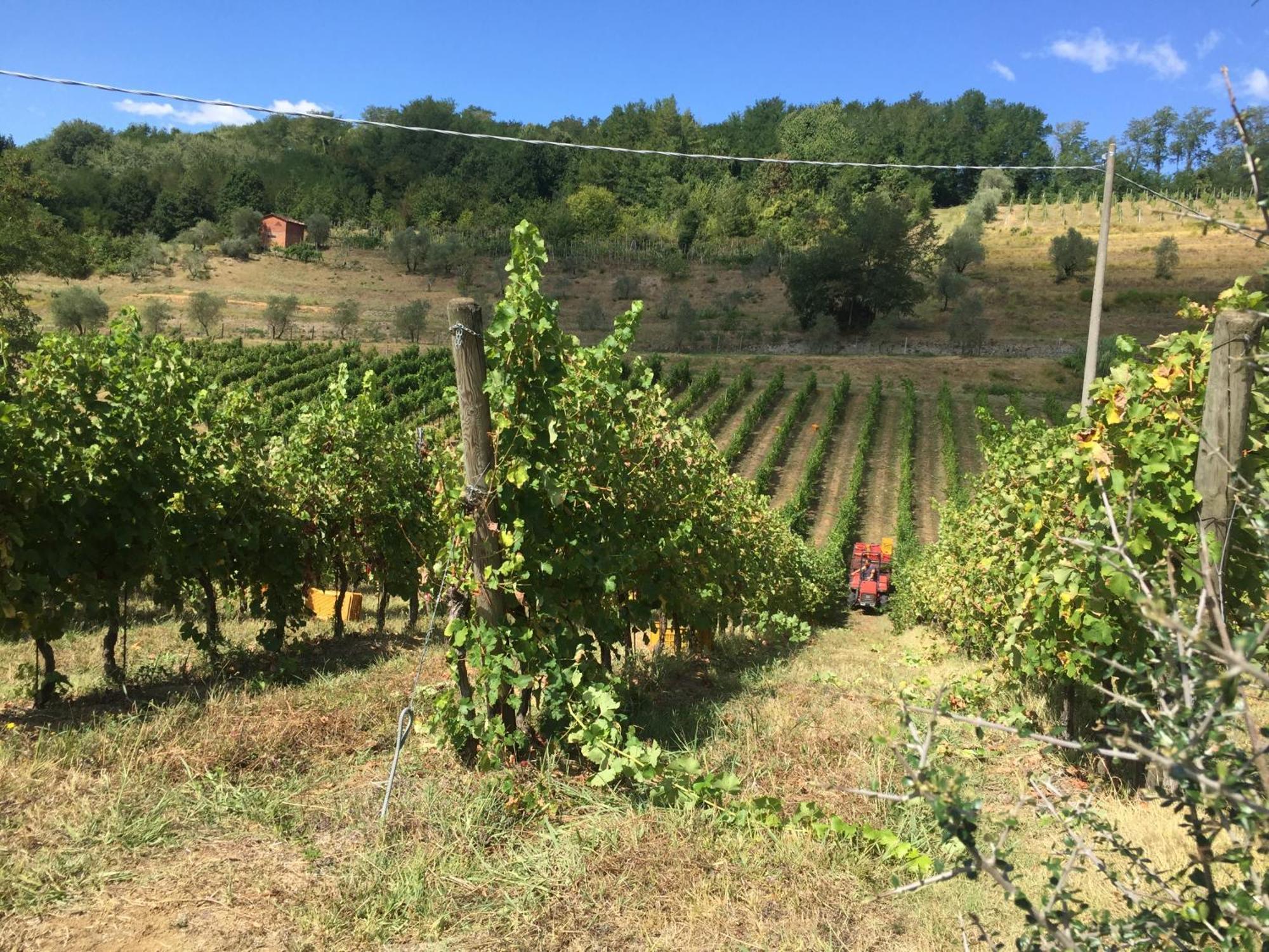 Agriturismo Il Bardellino Fivizzano Kültér fotó