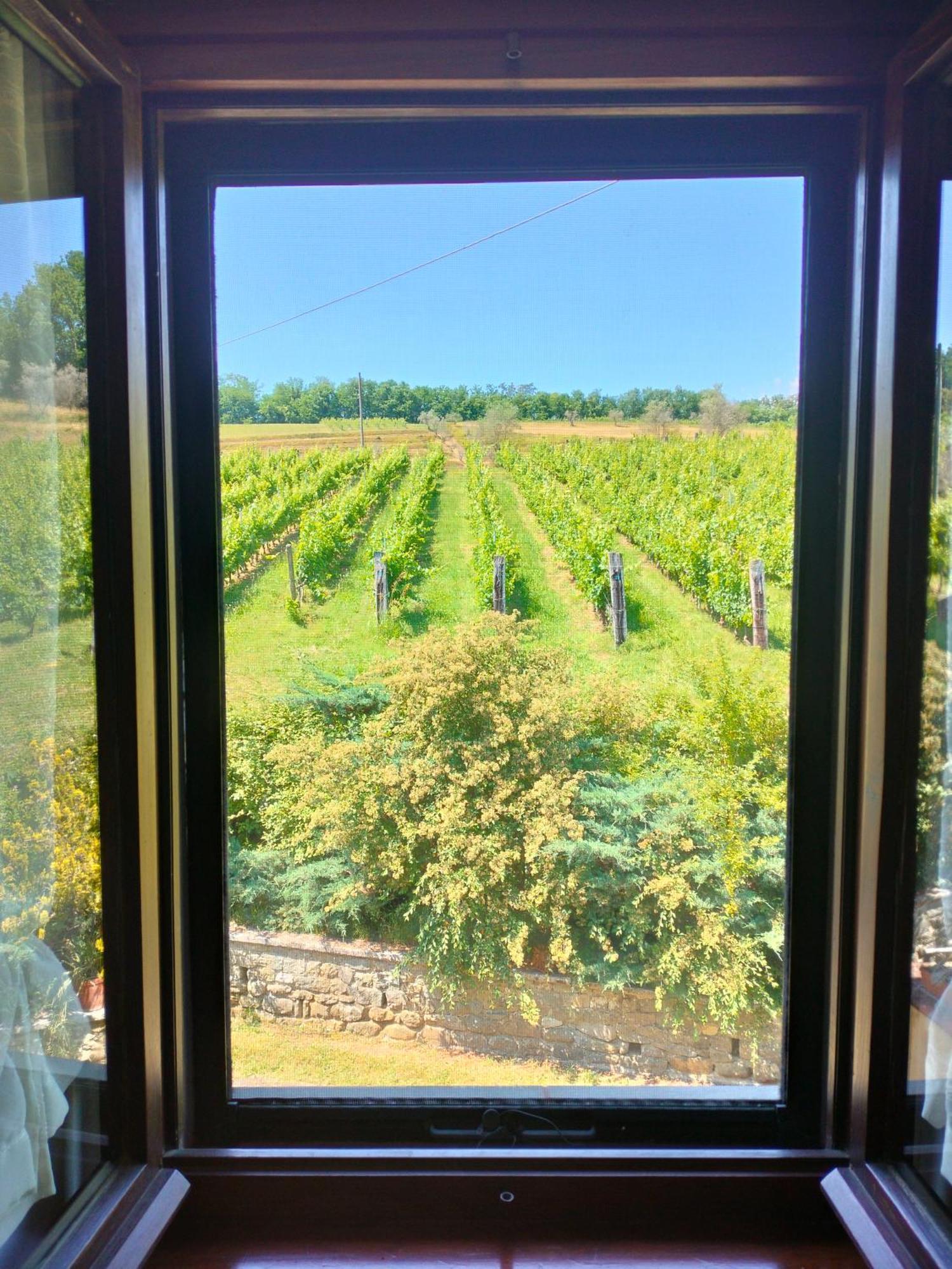 Agriturismo Il Bardellino Fivizzano Kültér fotó