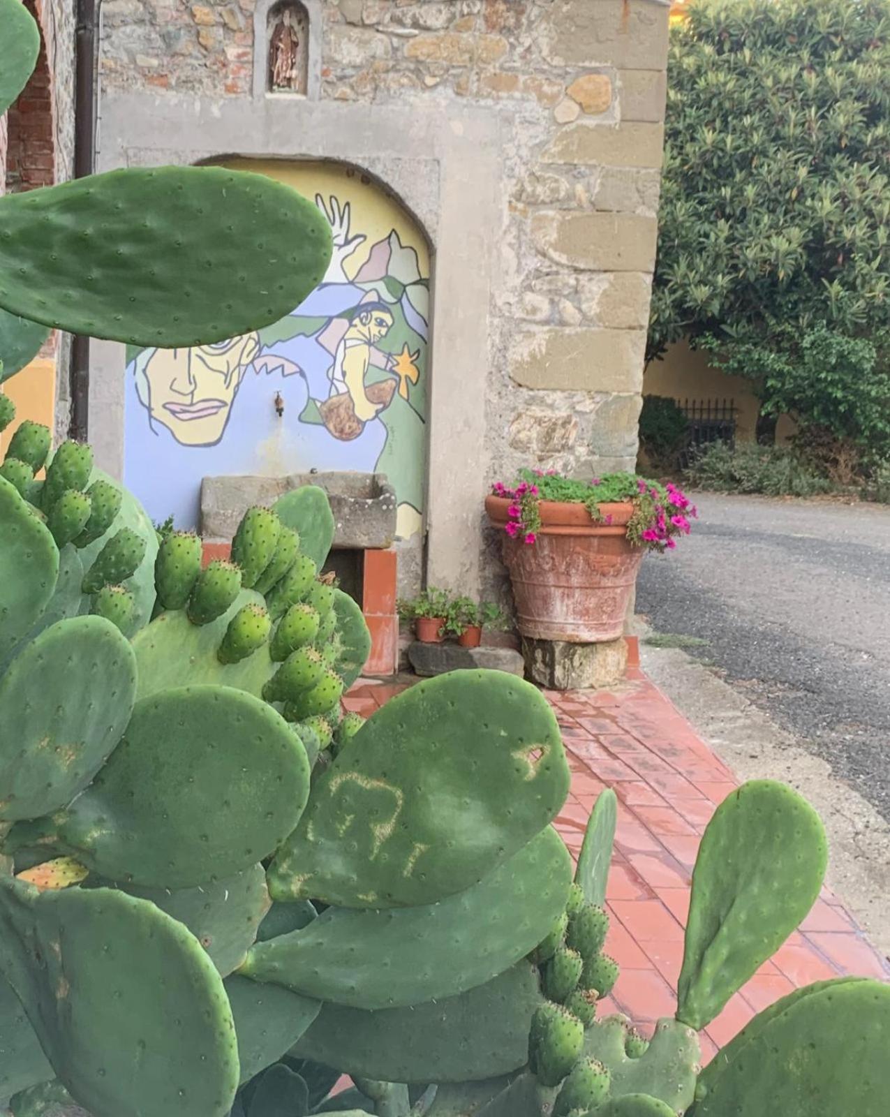 Agriturismo Il Bardellino Fivizzano Kültér fotó