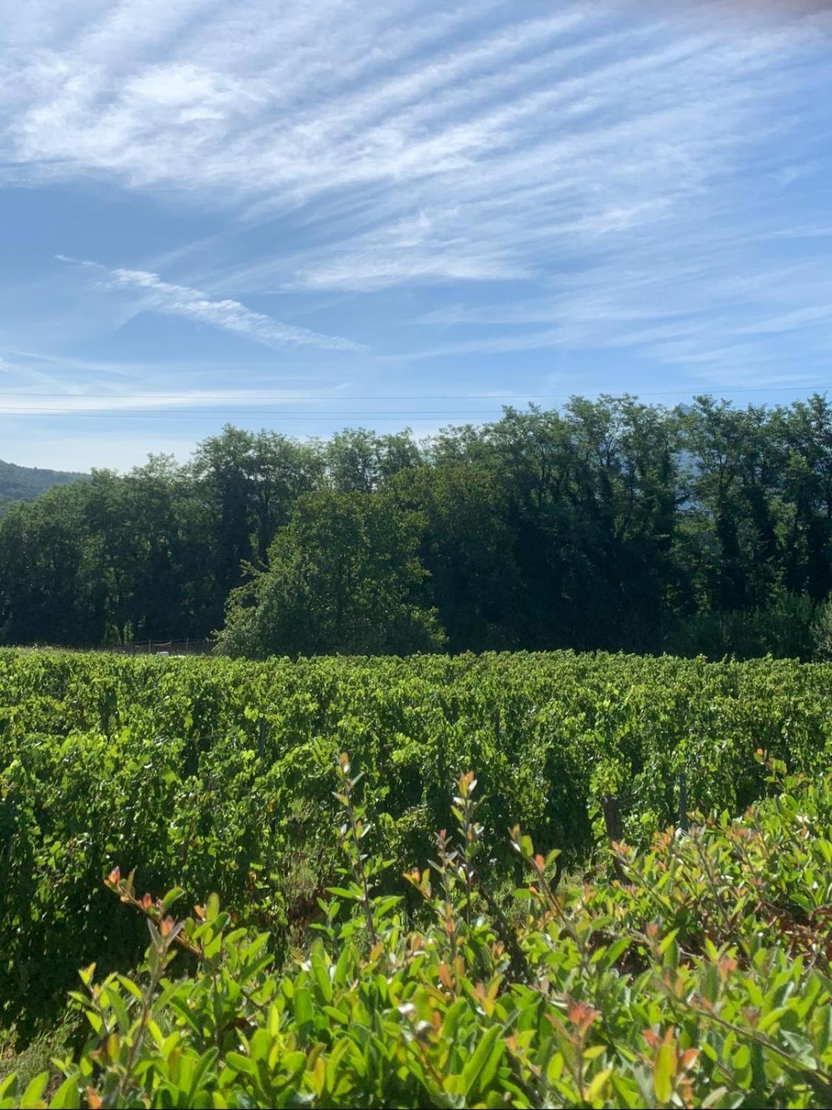 Agriturismo Il Bardellino Fivizzano Kültér fotó
