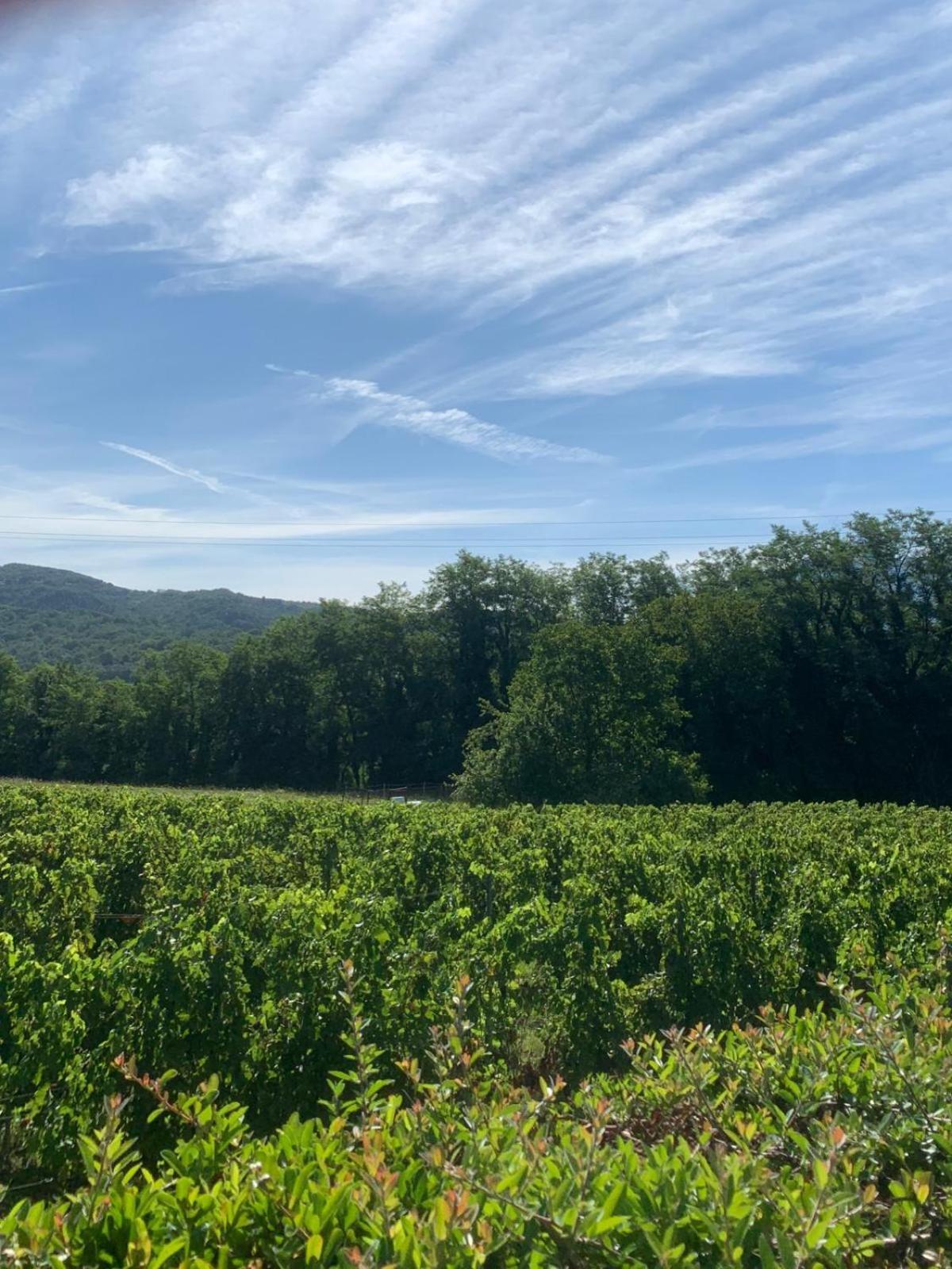 Agriturismo Il Bardellino Fivizzano Kültér fotó